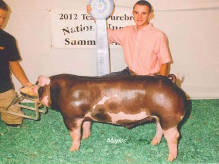 Clay Kincaid, Indiana