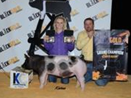 2014 Black and Gold Classic Grand Champion Market Barrow Day 1 Rilee Dunn | Texas