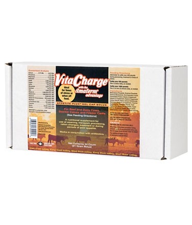 Vita Charge Gel Capsule