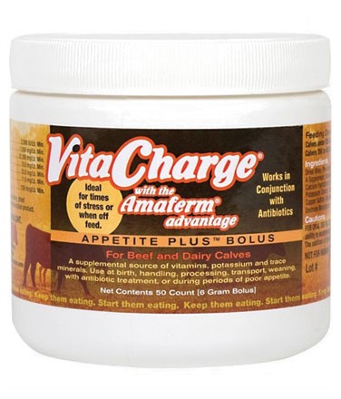 Vita Charge Bolus
