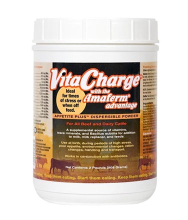 Vita Charge Dispersible Powder
