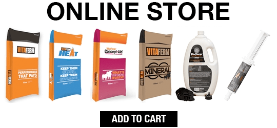 Online Store