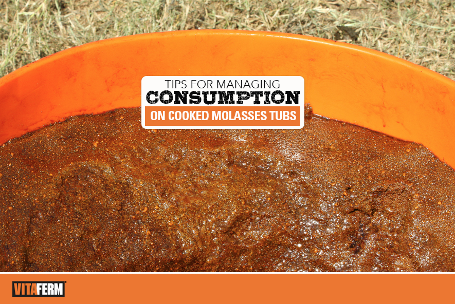 Tips For Managing Consumption on Cooked Molasses Tubs VitaFerm