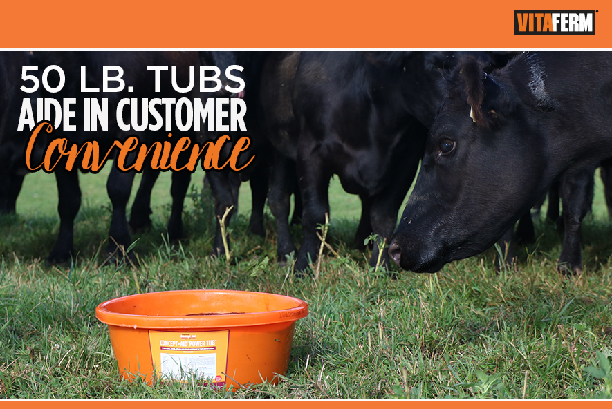 Nutrition Articles VitaFerm