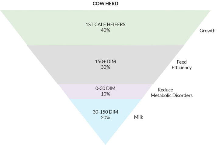 dairy-cow-herd-chart