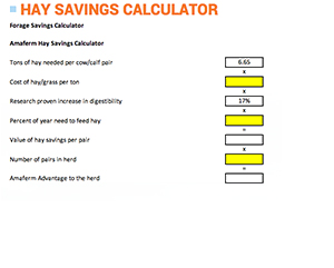 hay-savings-calculator