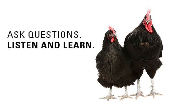 Ask Questions. Listen & Learn.