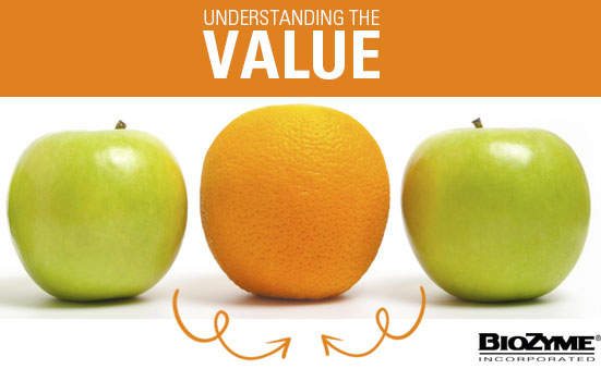 Understanding The Value