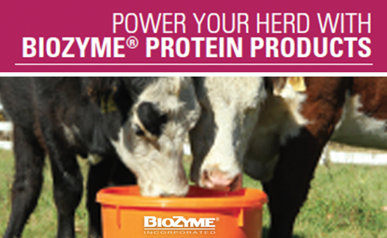 Power Your Herd with BioZyme Protein Products