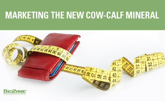 Marketing the New Cow-Calf Mineral