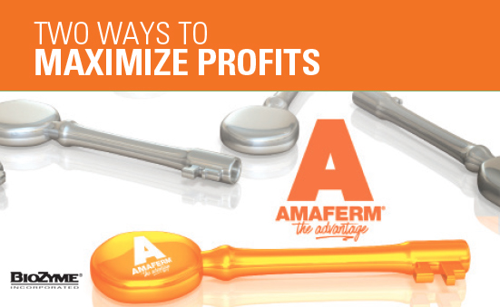Two Ways to Maximize Profits