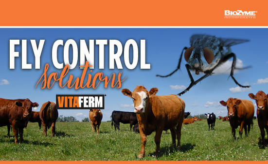 VitaFerm Fly Control Options