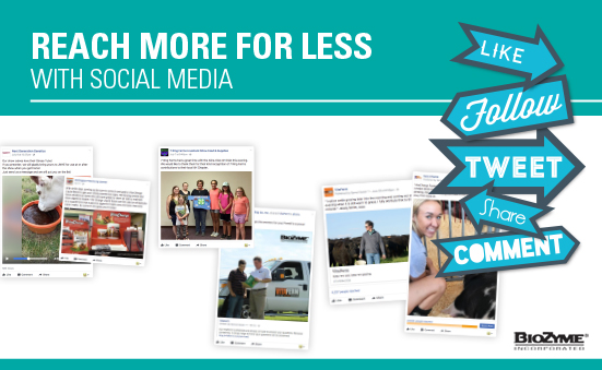 Reach More for Less with Social Media