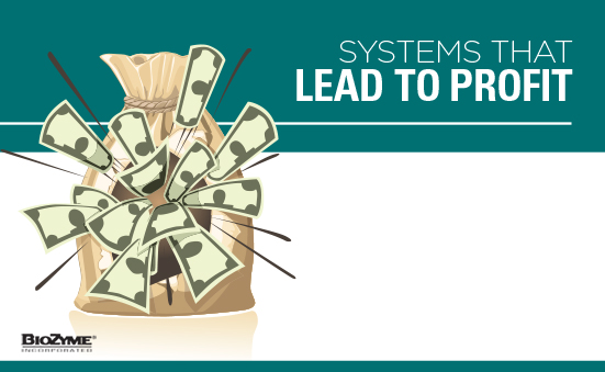 Systems That Lead To Profit