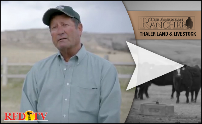 The American Rancher Featuring Vita Charge and Thaler Land & Livestock