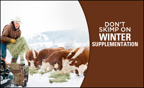 Don’s Skimp on Winter Supplementation