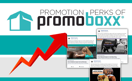 Growth with PromoBoxx