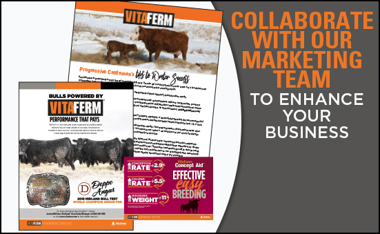 Collaborate with our Marketing Team to Enhance Your Business