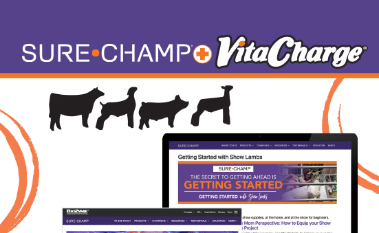 Sure Champ® and Vita Charge® Positioning Tools