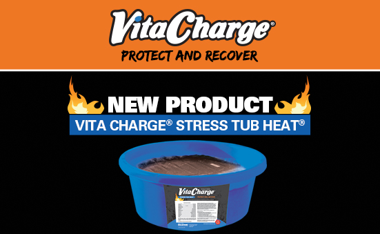 VITA CHARGE STRESS TUBS JUST GOT HOTTER