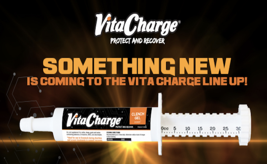 We Have Some Exciting News About Our Vita Charge Line!