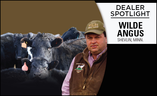 Dealer Spotlight: Wilde Angus