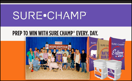 Prep To Win With Sure Champ EVERY. DAY.