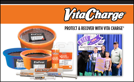 Protect and Recover with Vita Charge®