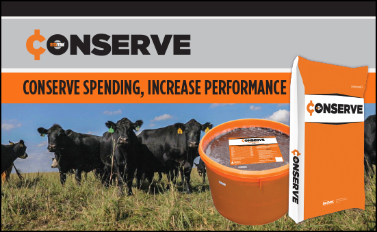 Conserve Spending, Increase Performance