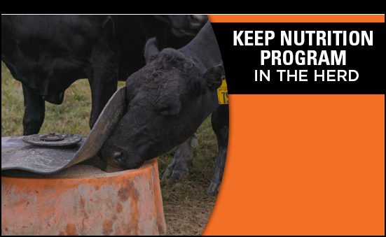 Keep Nutrition Program in the Herd