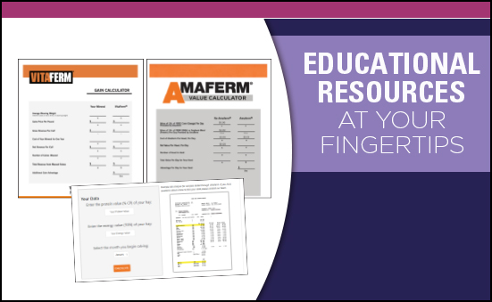 Educational Resources At Your Fingertips