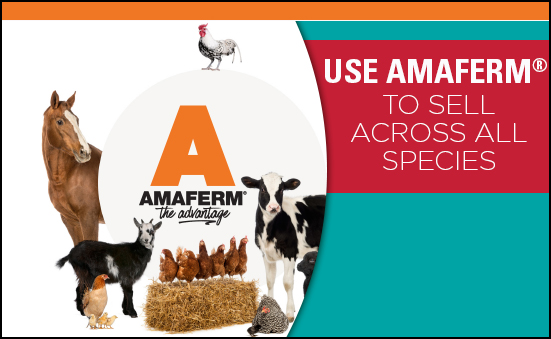 Use Amaferm® to Sell Across All Species