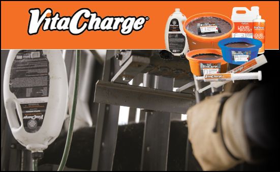 Vita Charge® Products Ideal During Stress And Recovery
