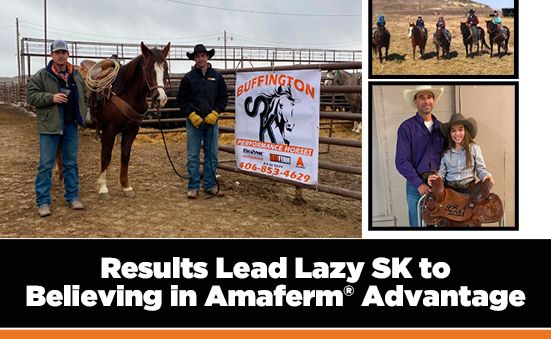 Dealer Spotlight: Results Lead Lazy SK to Believing in Amaferm ® Advantage