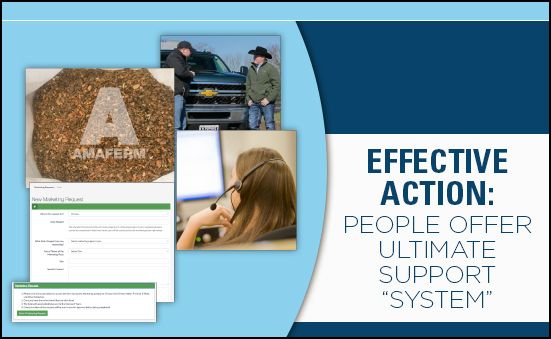 Effective Action: People Offer Ultimate Support “Systems”