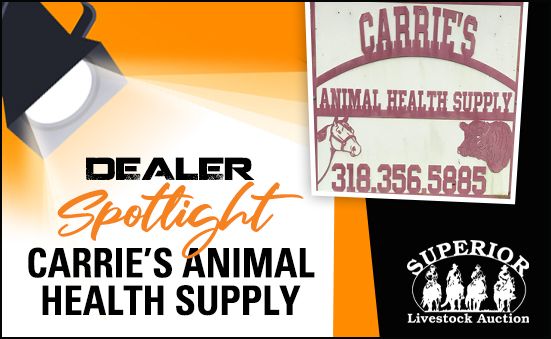Carrie’s Animal Health Relies on Word – of – Mouth Marketing