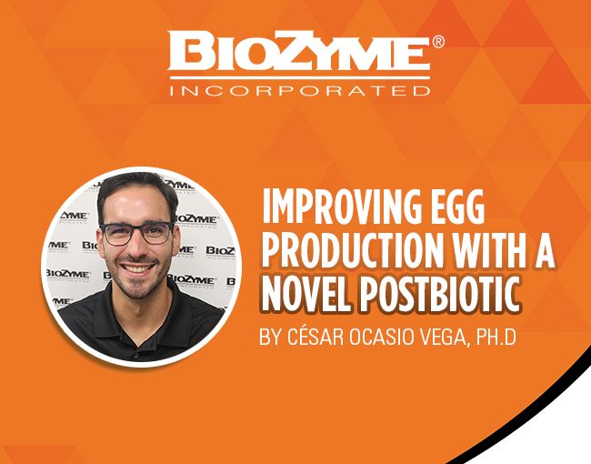 Improving Egg Production with a Novel Postbiotic