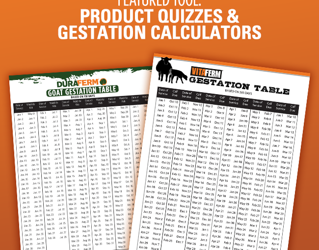 Product Quizzes & Calculators