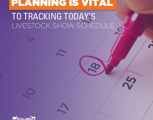 Planning is Vital to Tracking Today’s Livestock Show Schedule 