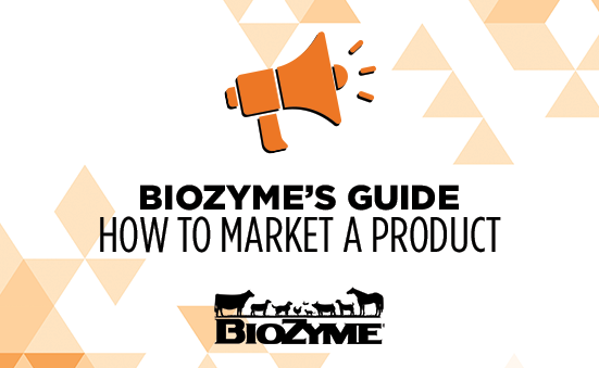BioZyme’s Guide: How to Market a Product