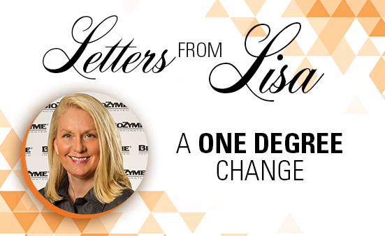 Letters from Lisa