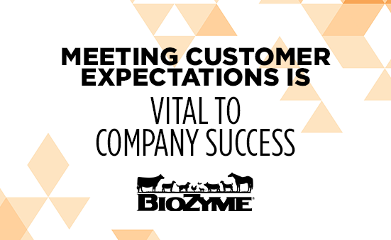 Meeting Customer Expectations is Vital to Your Success 