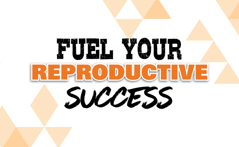 Fuel Your Reproductive Success with VitaFerm®