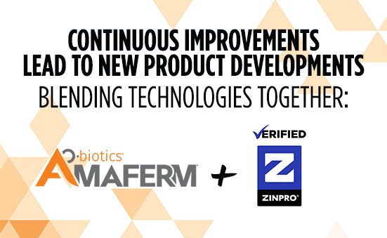 Continuous Improvements Lead to New Product Developments