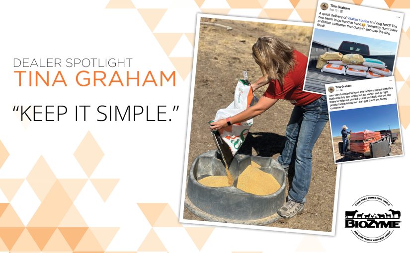 DEALER SPOTLIGHT: TINA GRAHAM