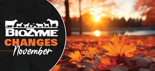 CHANGES COMING IN NOVEMBER