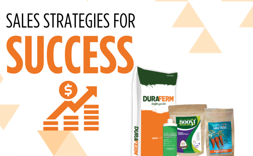 SALES STRATEGIES FOR SUCCESS
