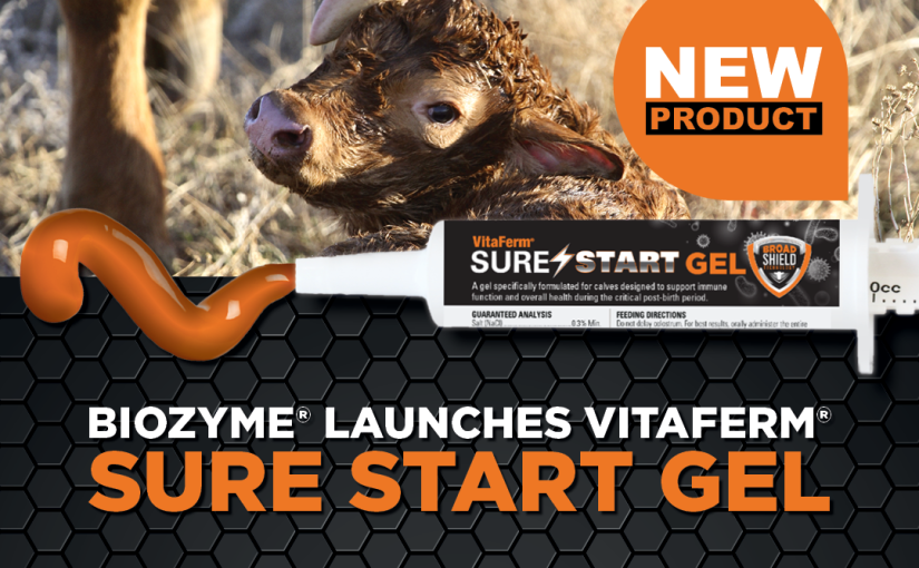 BioZyme® Launches VitaFerm® Sure Start Gel
