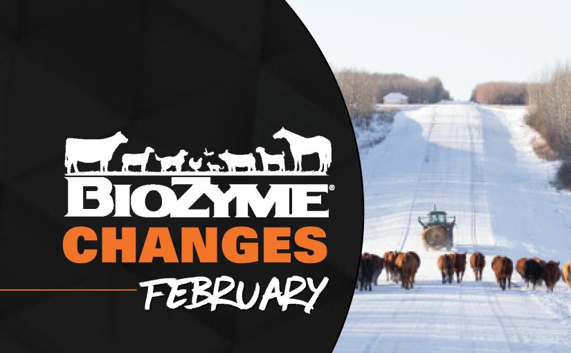 CHANGES COMING IN FEBRUARY