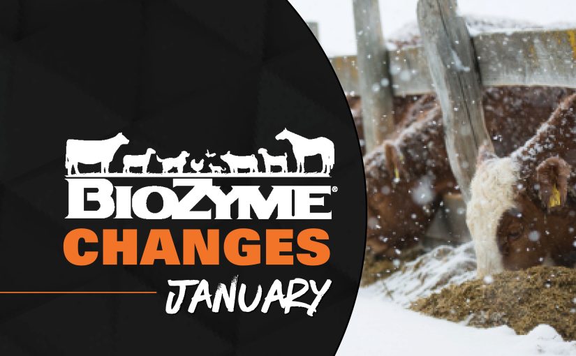 CHANGES COMING IN JANUARY